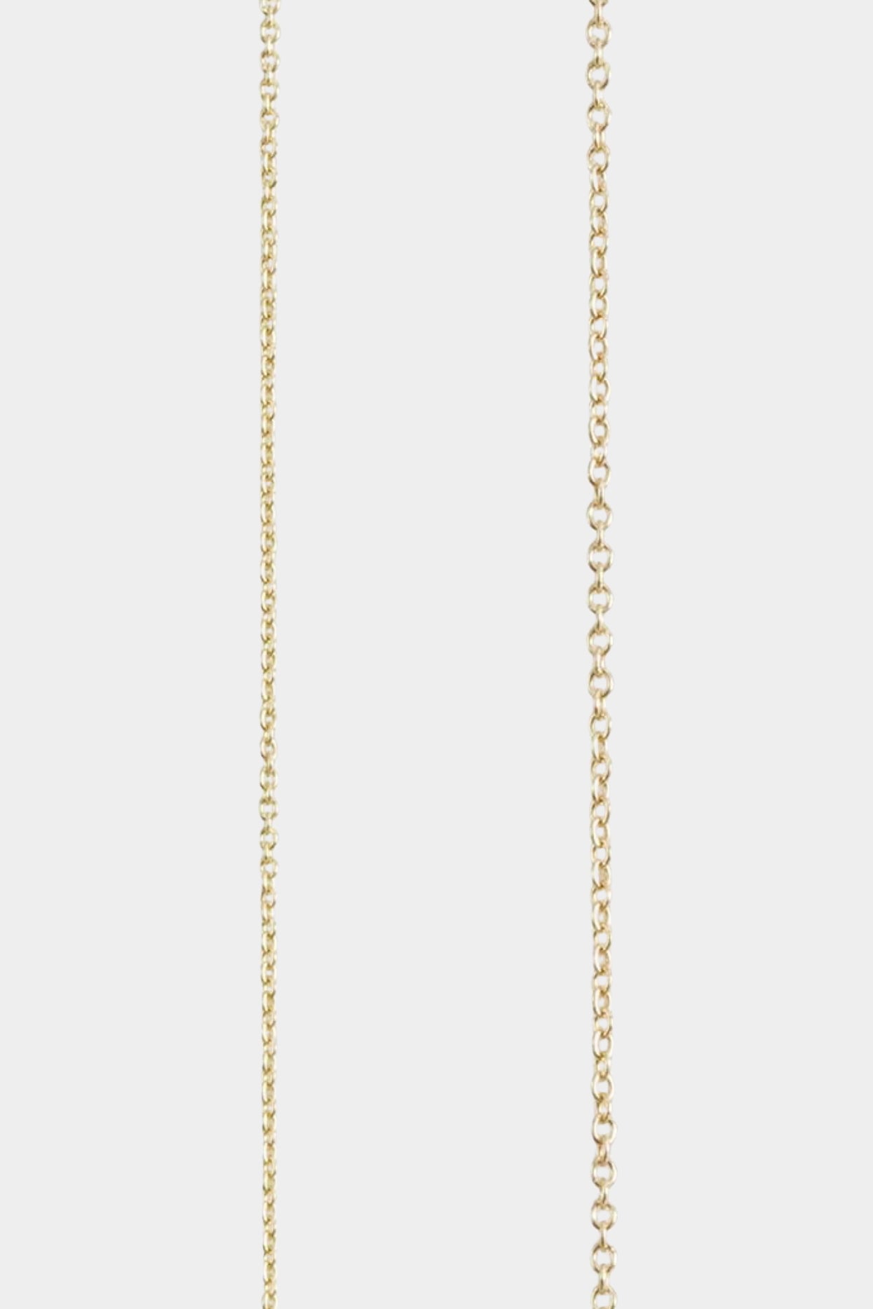 Detail of 14k gold-filled fine chain necklace highlighting link texture.