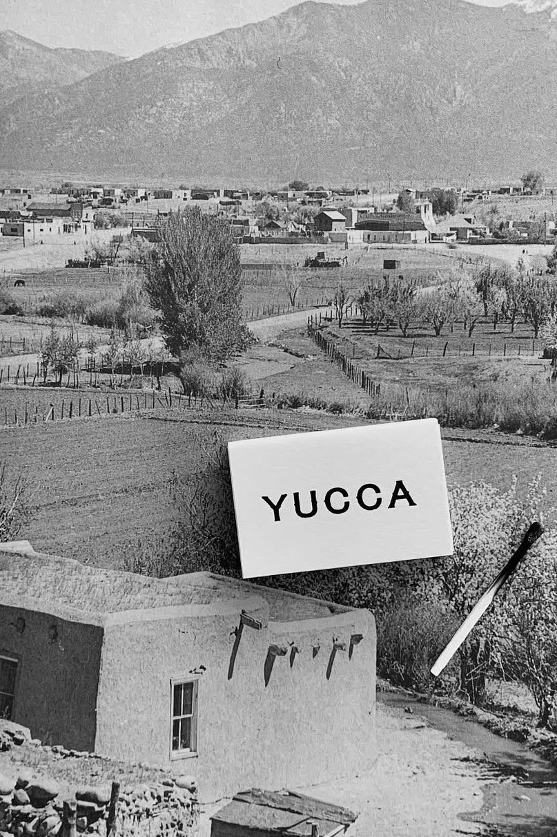 Shop All Clothing Collection Page - SHOP YUCCA