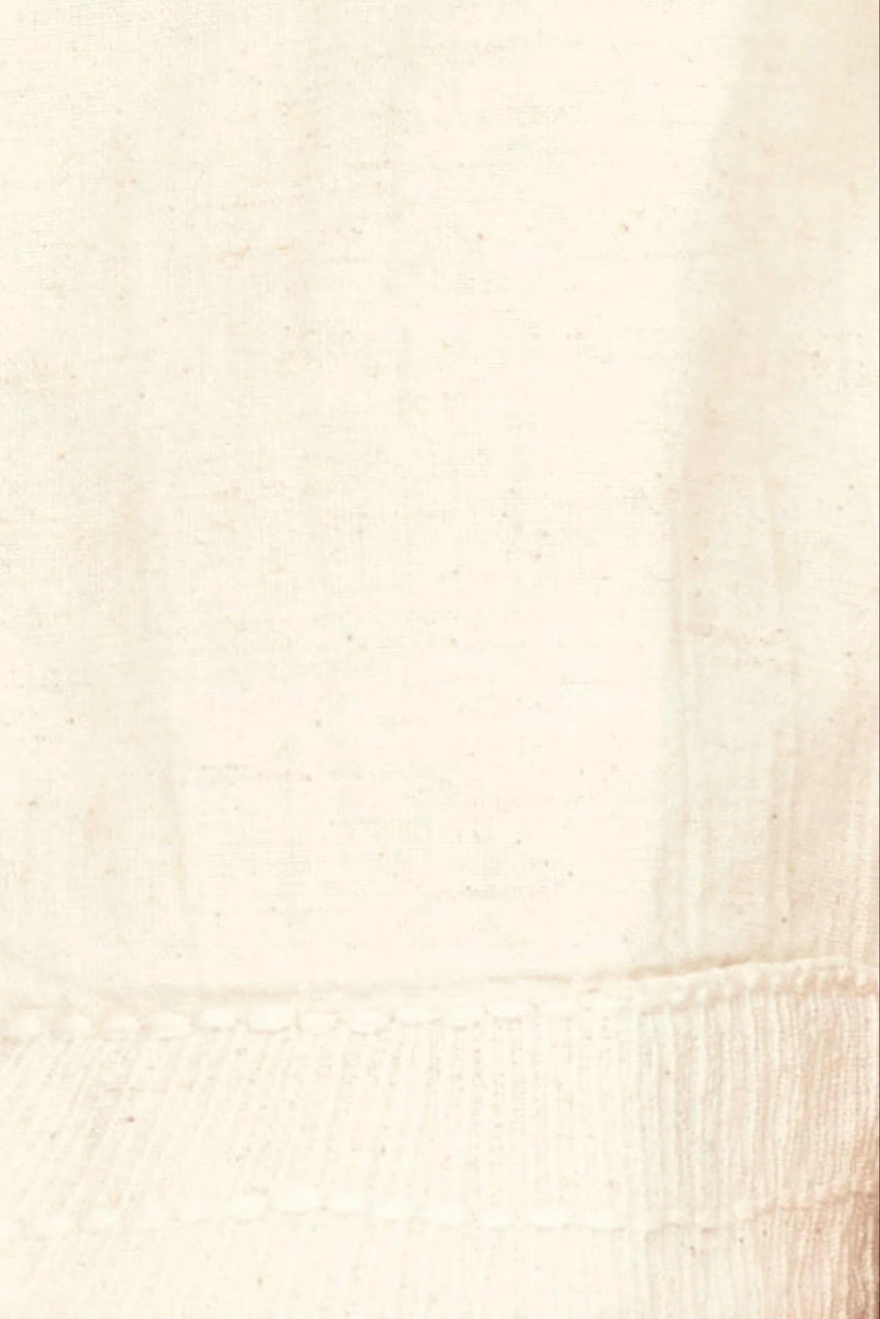 Mirth | Seychelles Top In Oat Fossil - SHOP YUCCA Shirts & Tops MIRTH - YUCCA 
