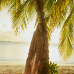 Natalie Martin Fiore Maxi Wildflower Spice beach editorial image with flowing floral silhouette and palm tree