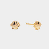 Earrings - YUCCA, gold seashell stud earrings with etched detailing and sterling silver posts, lightweight everyday studs.
